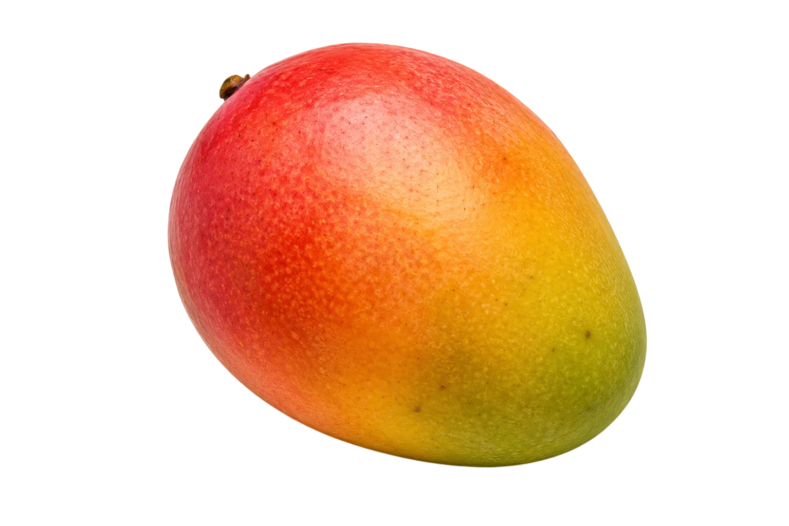 Ripe Haden mango with red, yellow, orange and green skin tones
